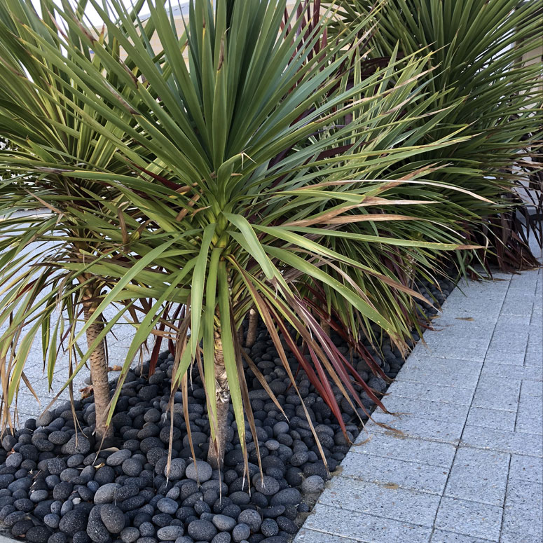 paving-perth-1